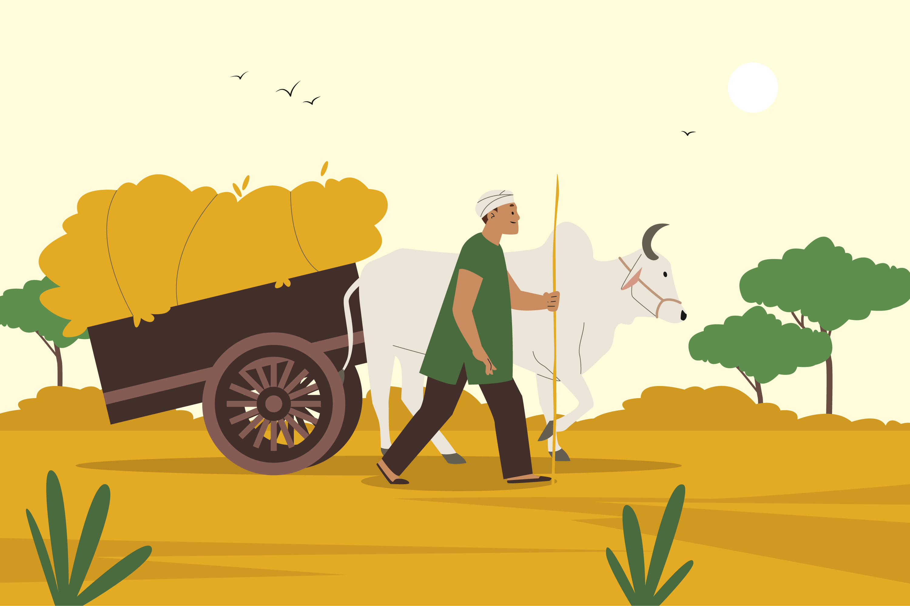 Farmers harvesting spices